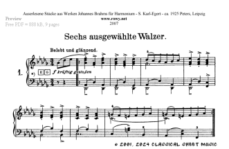 Thumb image for 6 Selected Waltzes